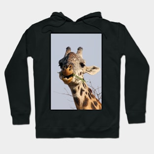 Maasai or Masai, Giraffe, Serengeti, Tanzania Hoodie